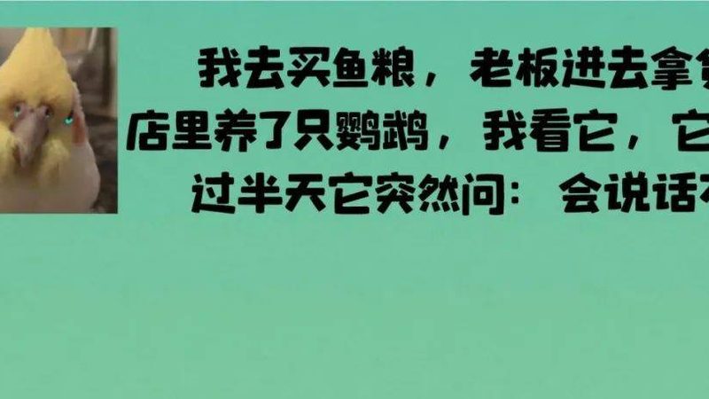 规模效应：成本优势与市场影响力