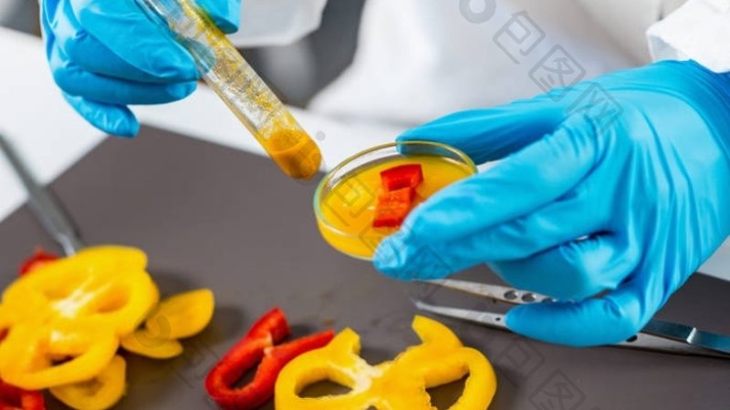 零食批发：厂家直销与代工生产的区别解析